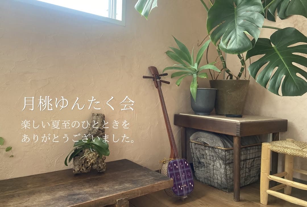 月桃の花のそばに置かれた三線